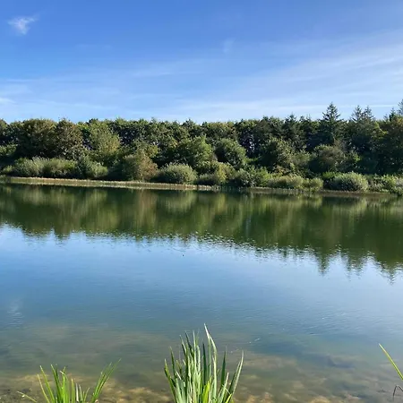 4 Person In Toftlund-by Traum *