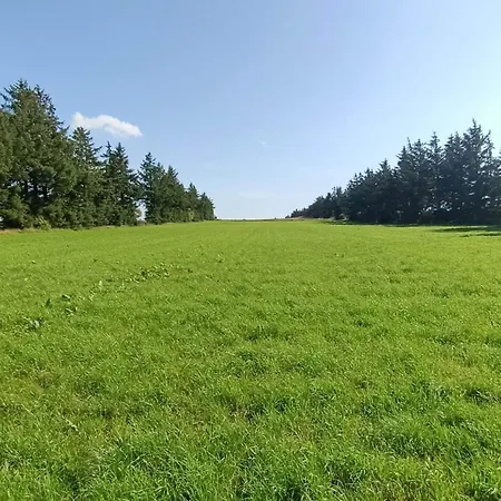 4 Person In Toftlund-by Traum